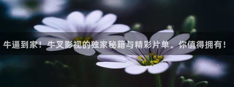 午夜电影网飘花