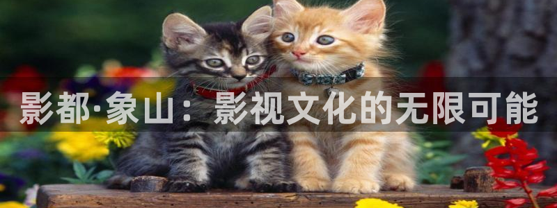 飘花伦理影院在线观看